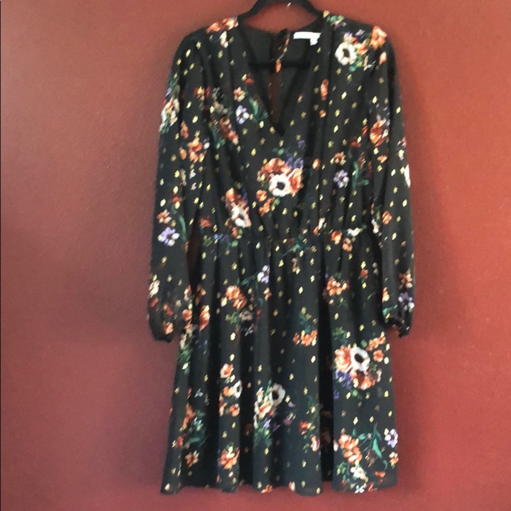 Ladies long sleeve dress by Stich Fix